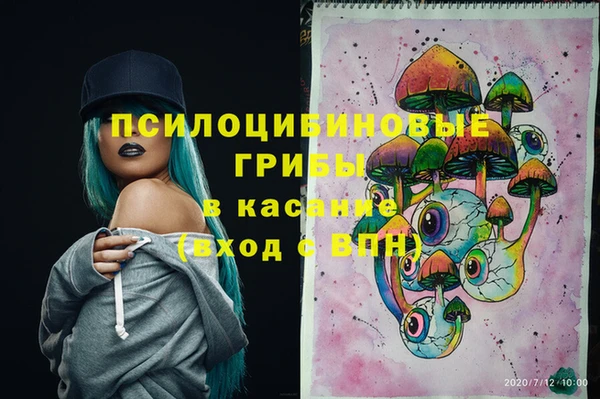 молекула духа Алексеевка