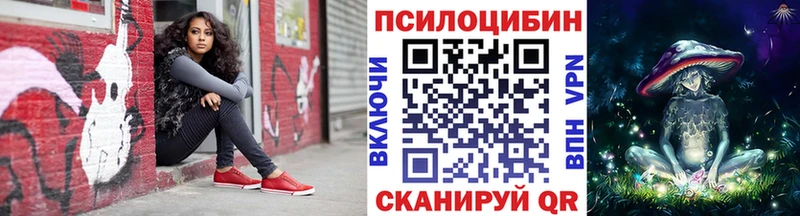 продажа наркотиков  Судогда  Галлюциногенные грибы мухоморы 